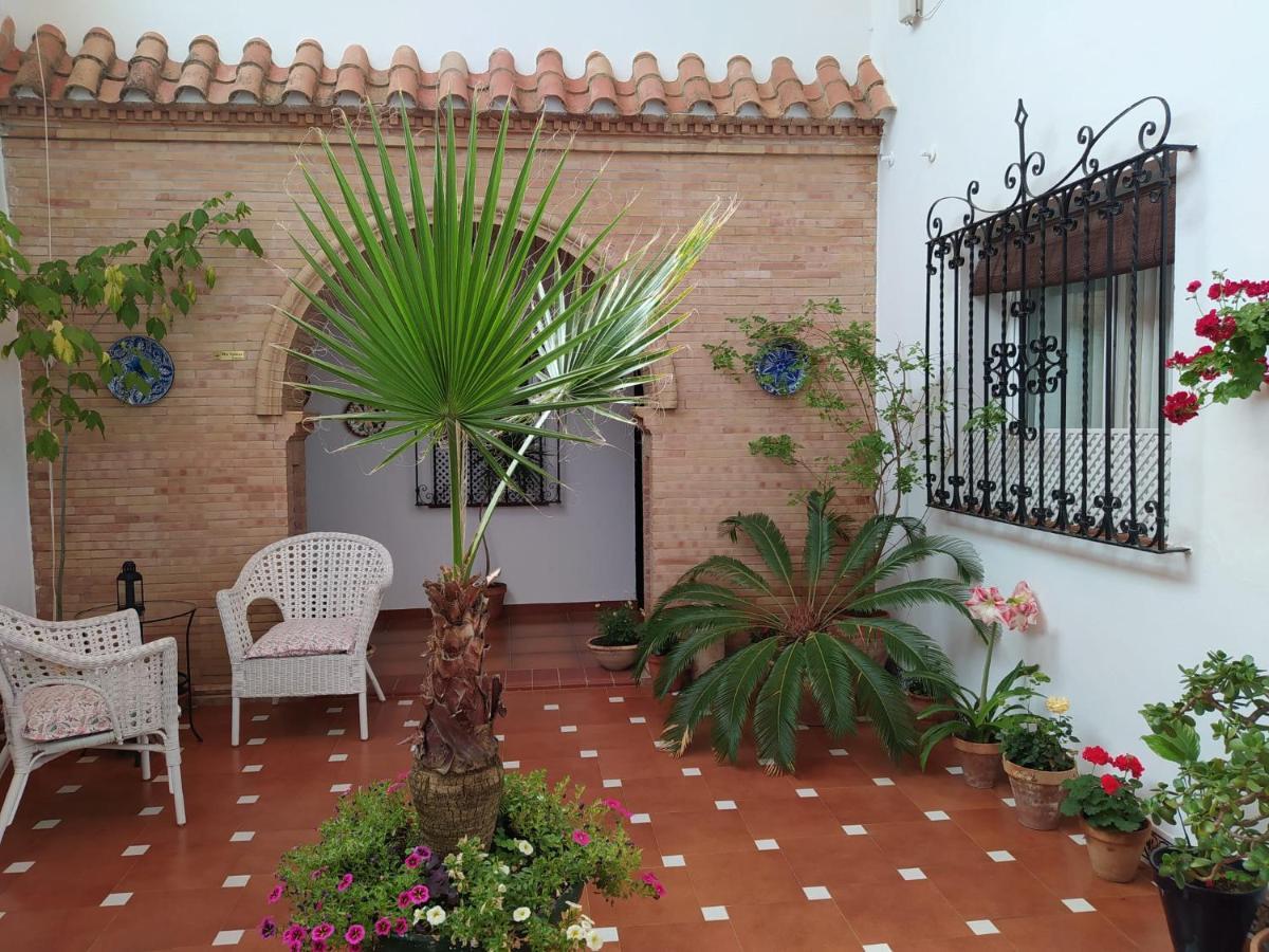 Hostal Andalucia Чипиона Экстерьер фото